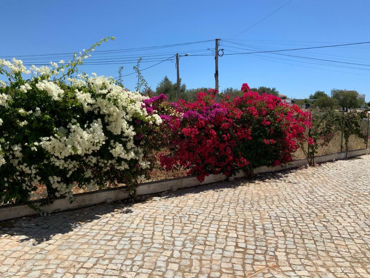 Guest House Alfarrobeiras Αλμπουφέιρα Εξωτερικό φωτογραφία
